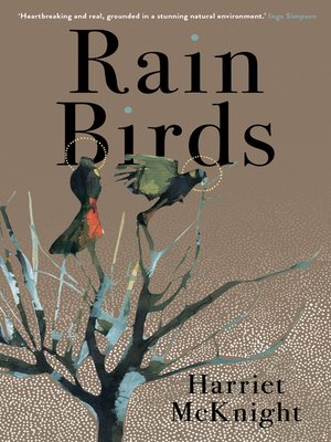 cover image of Rain Birds